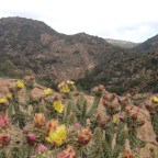 Day 2: Under the 8 and into the clouds