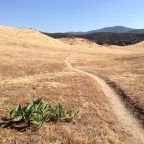 Day 7 Mile 100 and Clean Hopes