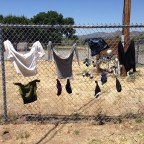 Day 8 Roads More and Less Travelled