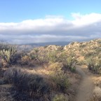 Day 10 Storm Troopers in Paradise