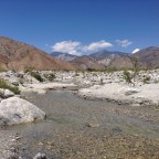 Day 14 Water in the Desert