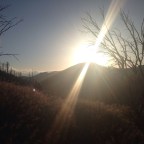 Day 17 The Crack of Noon