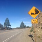 Day 24 Road Walking for the Frogs