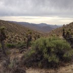 Day 36 The Desert is Kind