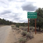 Day 39 I Will Survive