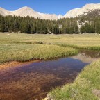 Day 43 Magical Meadows and Familiar Sites