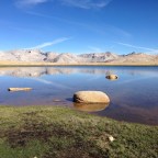 Day 44 Walking the Impassible. Winter, with Flowers.