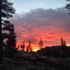 Day 56 Lightning Restarts A Tired Heart