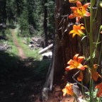 Day 68 My Fears, Mansplained