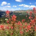 Day 70 Railways and Rolling Hills