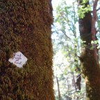 Day 77: Up All Day, Up All Night