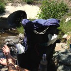 Day 76: Water Bubbles