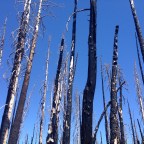 Day 82: Feelin’ the Burn