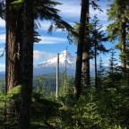 2094 A New Direction