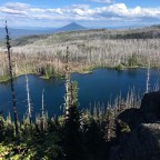 2030 Beauty and the Burn