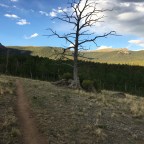 CT Day 3: Lost Creek to Creek to Creek