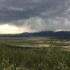 CT Day 4: Friends-Day!