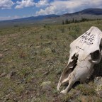 CT Day 19: Magic Miles