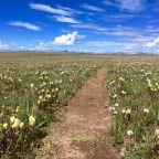 CT Day 21 Skyway to Highway