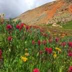 CT Day 26: Heart Troubles