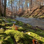 Eagle Rock Loop 1: Tiny Pack Traveling Gear Show